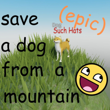 save a dog from a mountain