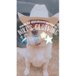 Nikis Clothing