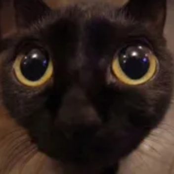 Maxwell's Money Ritual