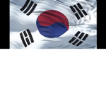 South Korea and cats United