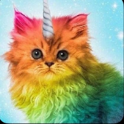 Rainbow cat squad Roblox decal