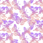 Butterfly._.peach