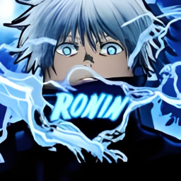 RoNin