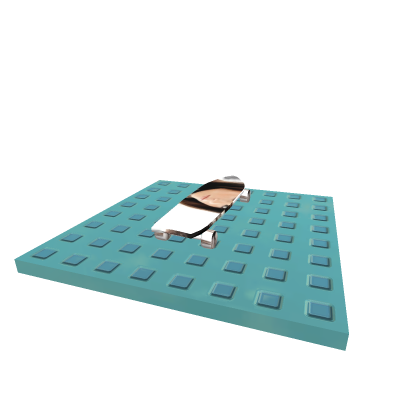 megan fox skate board