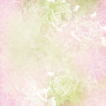 - evi -