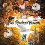 The Rodent House