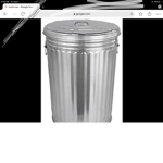 The other trash can group