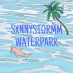 sxnnystormm water park