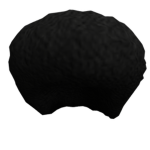 cammple roblox group