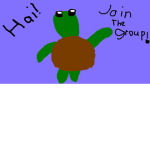 The Turtle Squad Is Best
