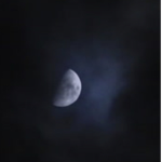 Everlune