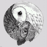 Warriors: Birds of the Night