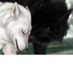 *+ Shadow's Wolf Pack! +*