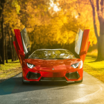 Sports car drivers