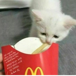 ｡ﾟ•`*♡*´•ﾟ。