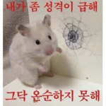 우리의의 세계