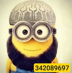 OG SHAHID MINION