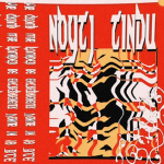 NOYTJ TJINDU