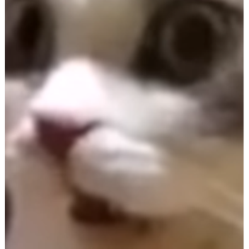 artem6332's Place Number: 7