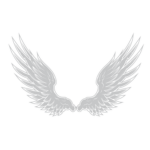 Angels of Peace (A o P)