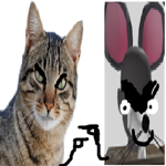 Cats Vs Rats (Official Group)
