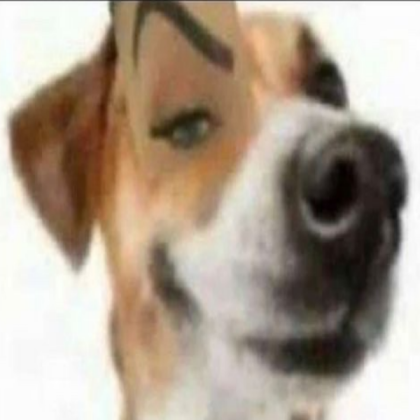 sus dog Roblox decal
