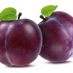 PLUM CULT
