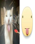 gato nom
