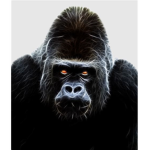 Gorilla Warfare (Criminality Gang)
