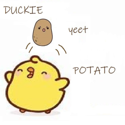 т