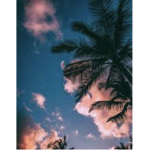 ~B̷e̷l̷l̷a̷~