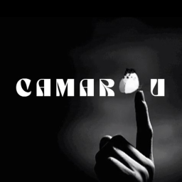 Lycée Camar🦋u