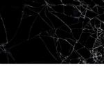 TheDarkRealm