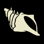 Shellcore Studios