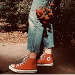 .svnsxine.