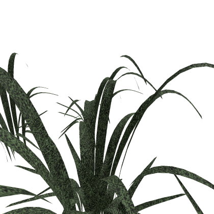 Grass