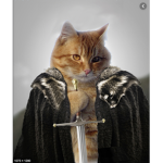 The official Cat army