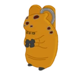 Chomik Detection Agency