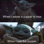 different kind