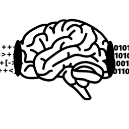 Brainfudge