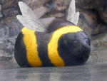 GATIZA bobux