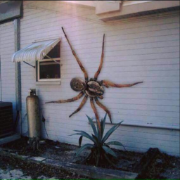 🕷
