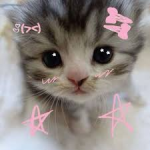 ୨ৎwild whiskers୨ৎ