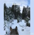 - Grand Mountain Equine -