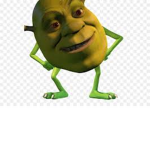 for the love of Shrek