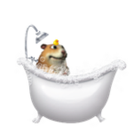 Team Bubble Fun Group Thumbnail