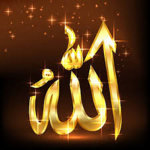 Muslims For Life