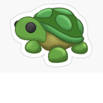 Chill Turtle/Tortoise group