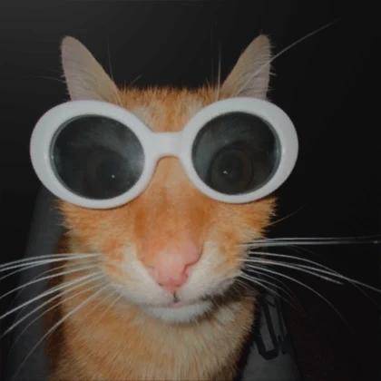 Cat with glasses outlet