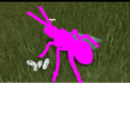 be ant simulator